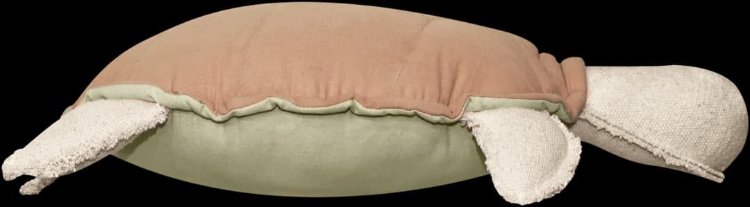 Cojín Turtle