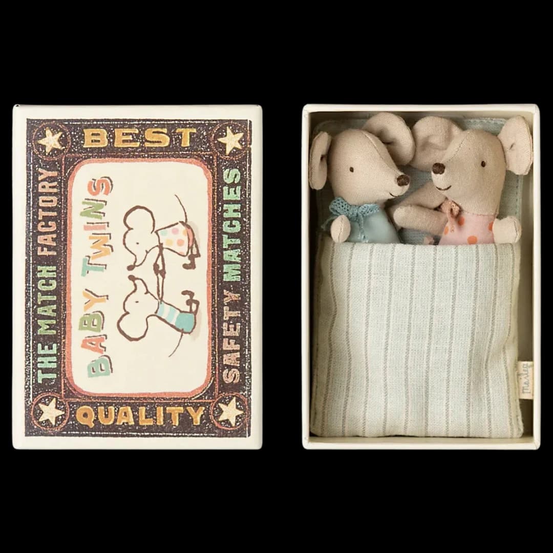 Ratoncitos - Twins baby mice In A Matchbox