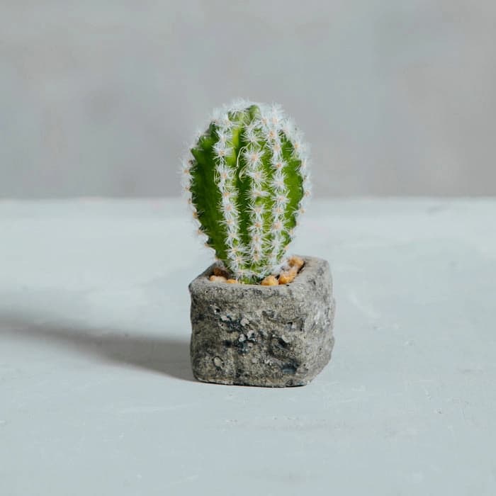 Planta Artificial Base Cerámica 6