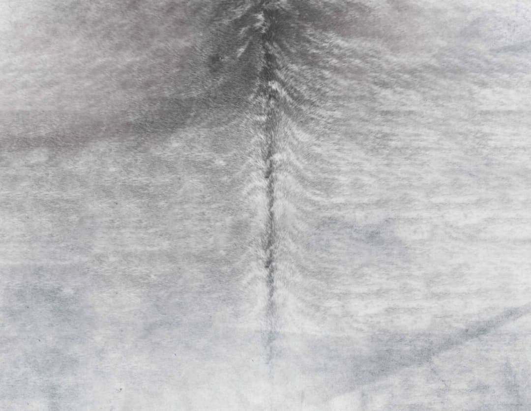 Piel