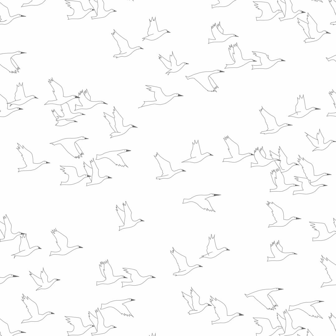 Papel mural Gaviota Gris