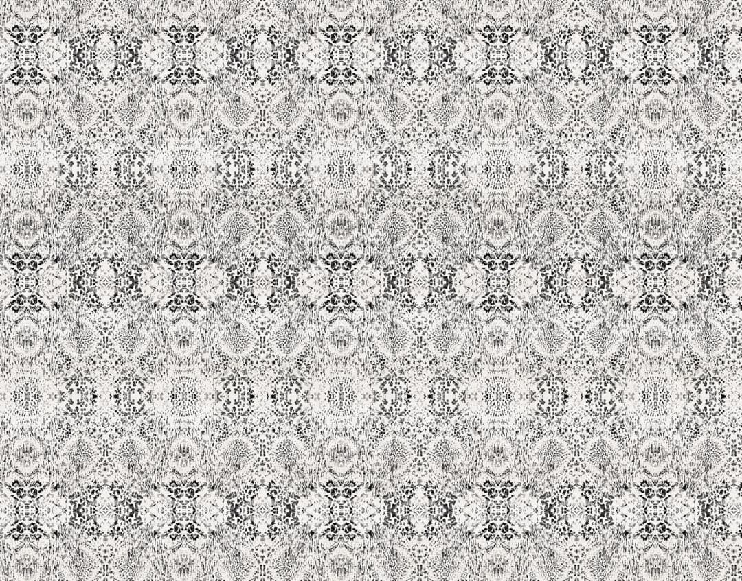 Papel mural Animal Gris