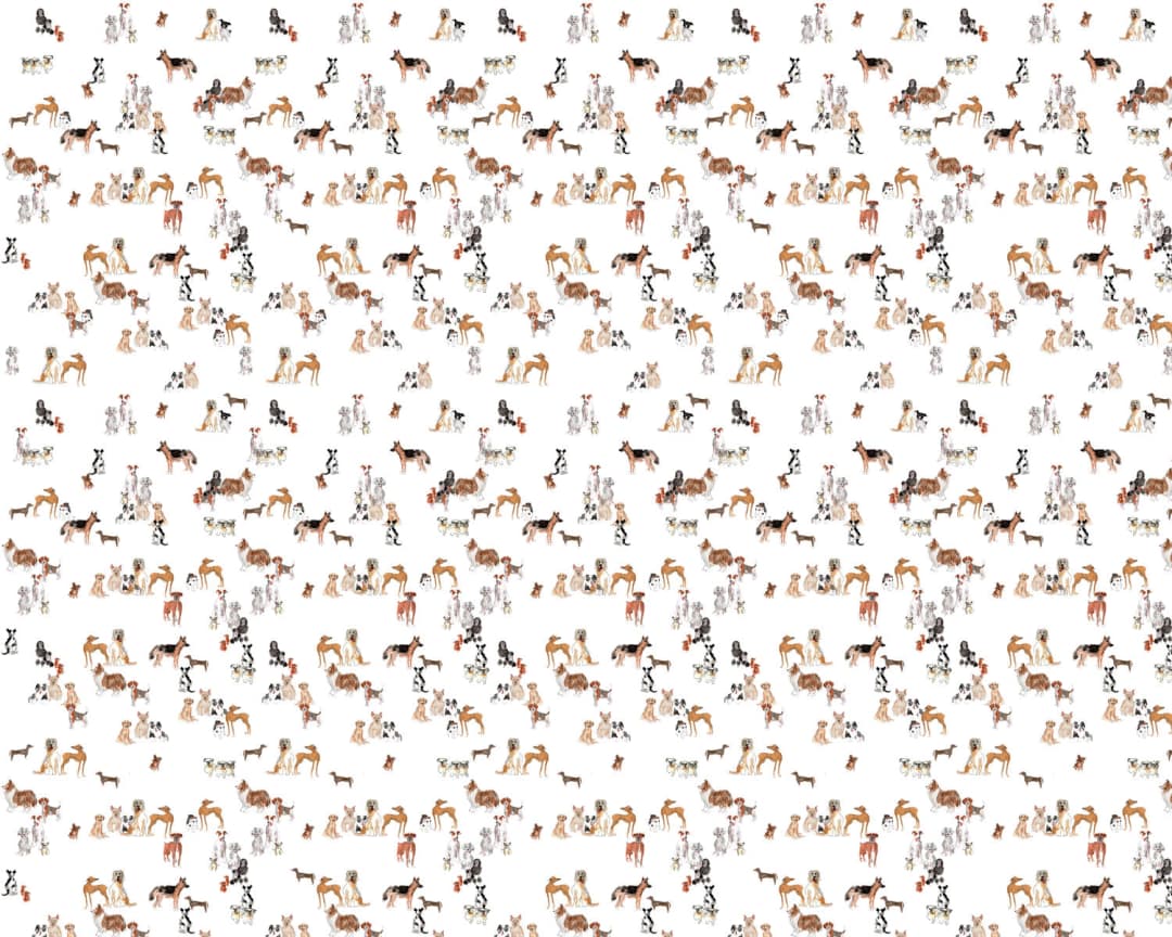 Papel mural Perritos (Manuel Santelices)