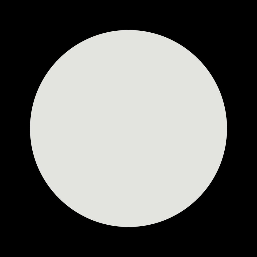 Ceresita Limpet Shell