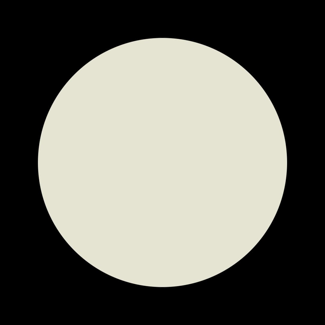 Ceresita White Leek