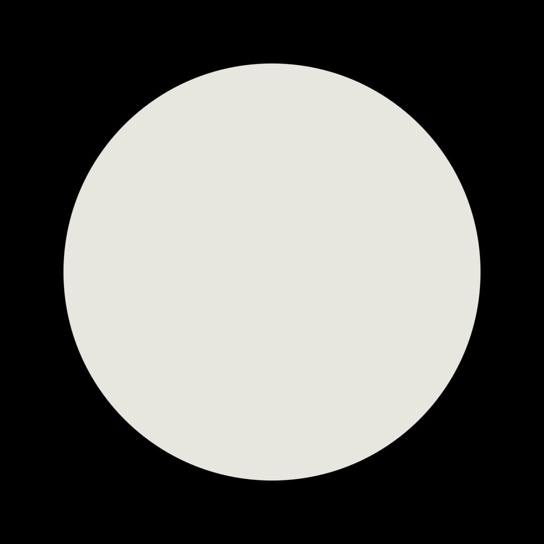 Ceresita Respectfully White