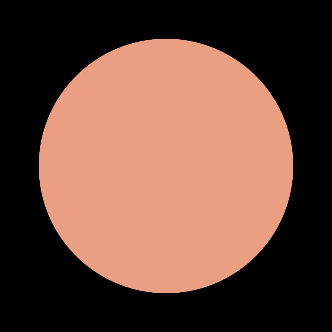 #EB9F83