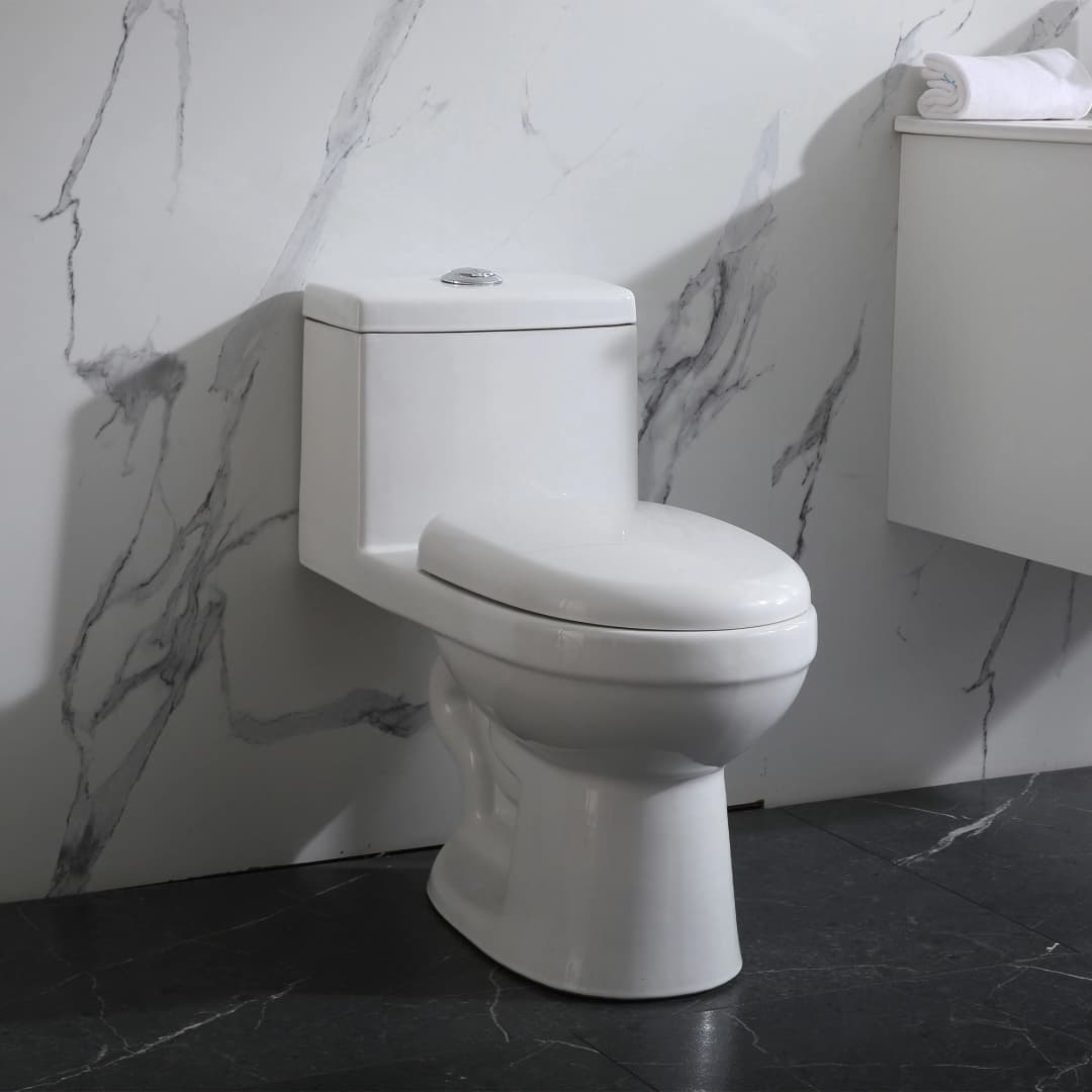 WC One Piece Home Descarga a Piso 300 mm