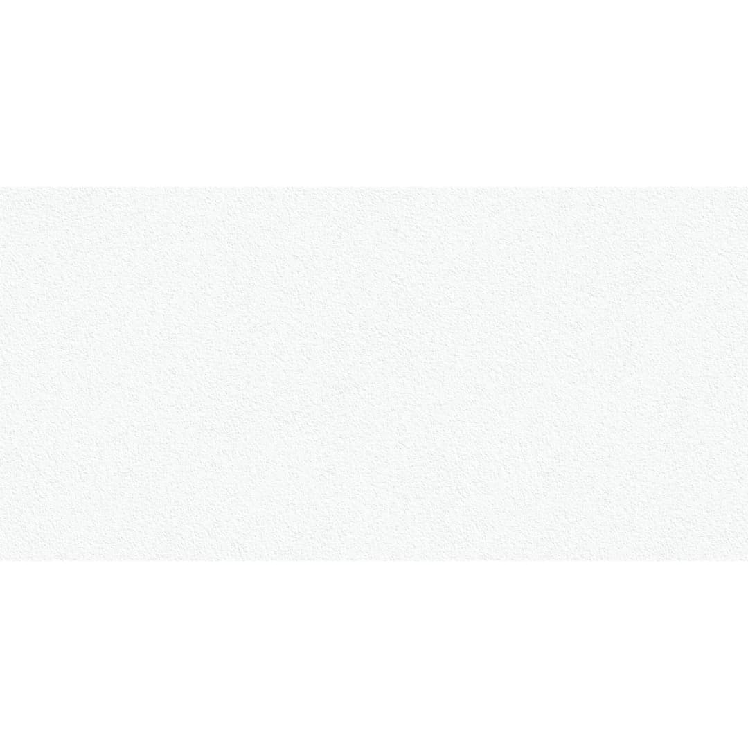 Plancha Ultracompacto Absolut White Mate 160x320 cm