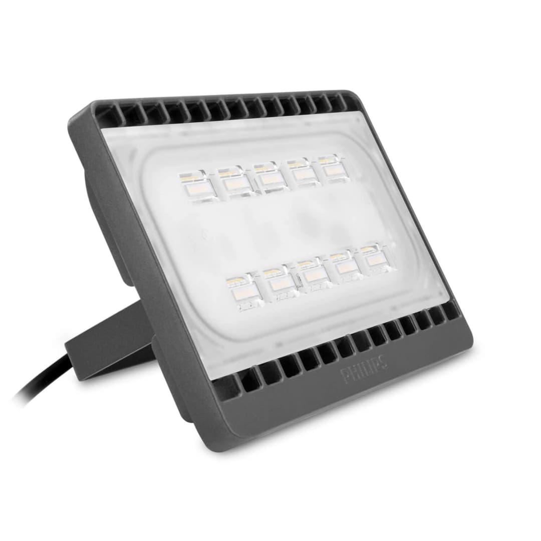 PROYECTOR PHILIPS BVP171 30W LUZ NEUTRA IP65 GRIS (911401694107)
